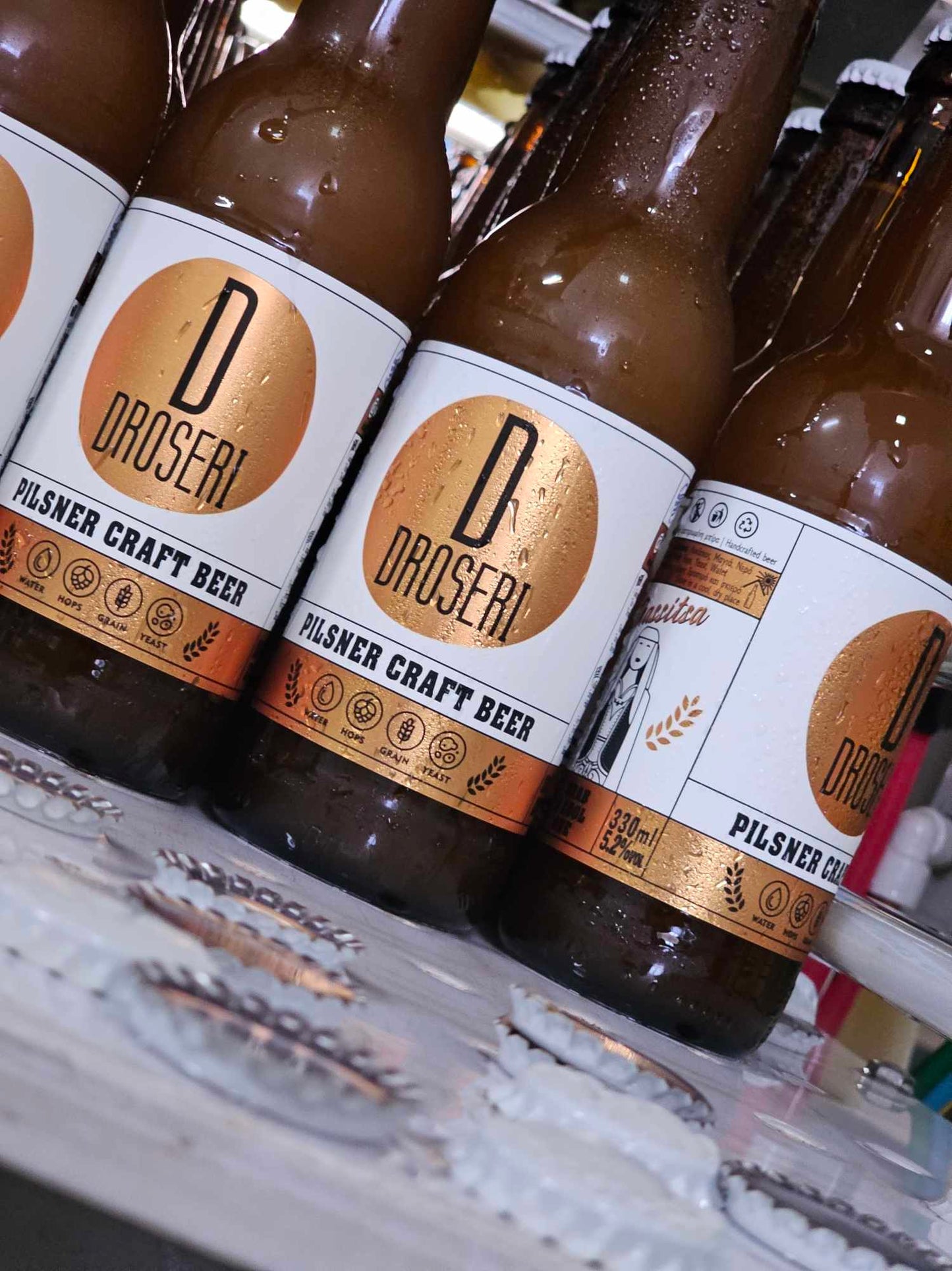 Droseri Box of 12