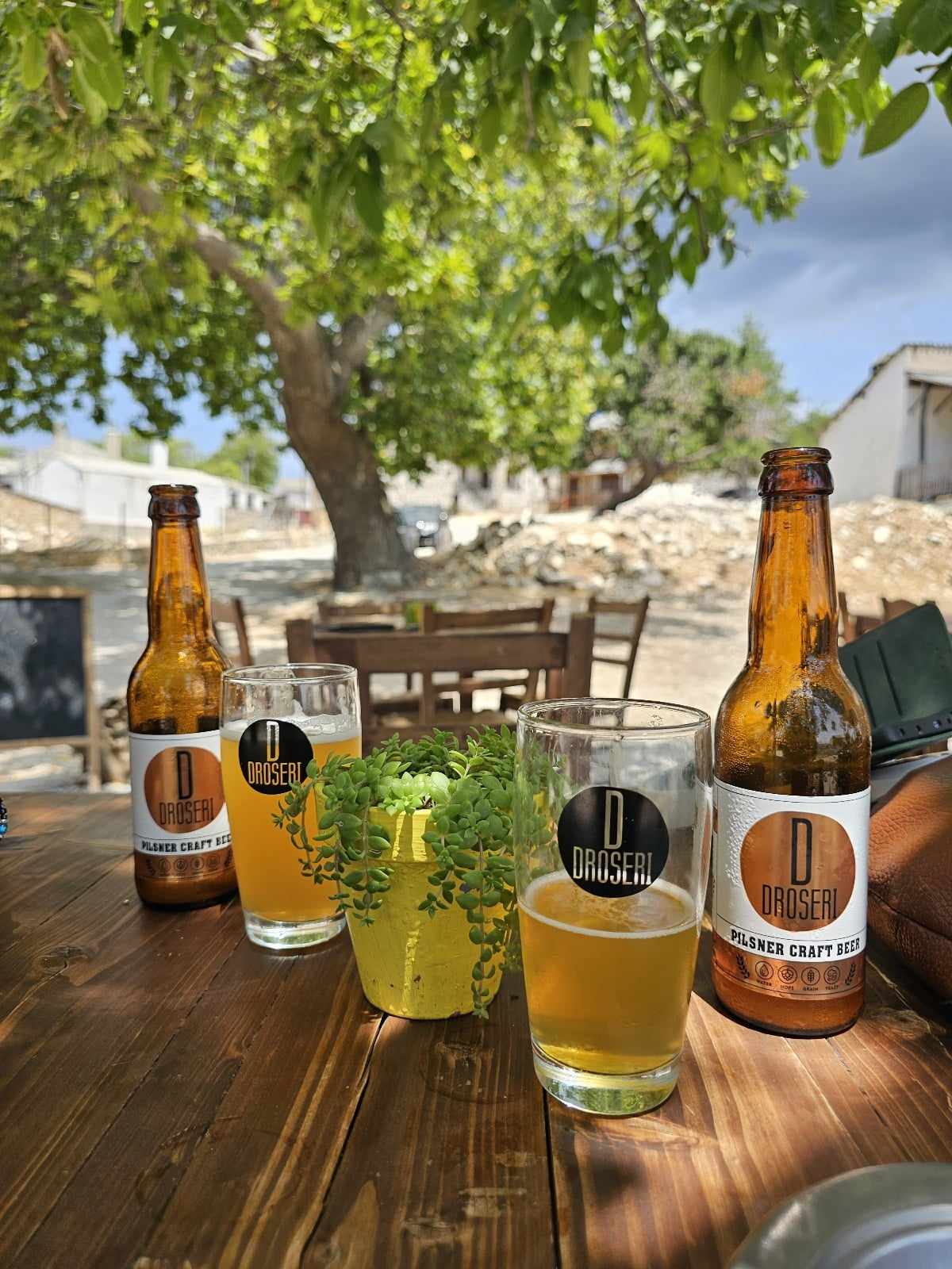 Droseri beer glass