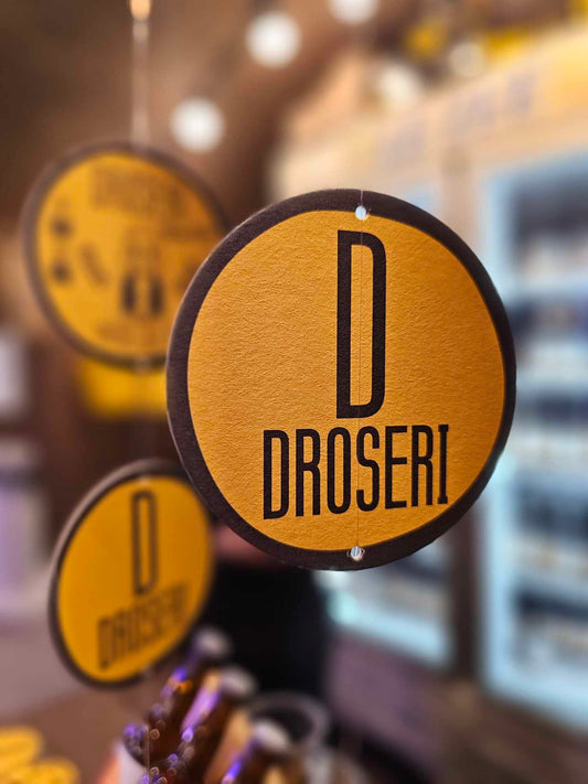 Droseri thassitsa beer coaster 6pcs